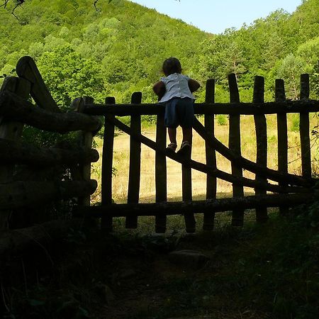 Pension Txiki Isaba Esterno foto